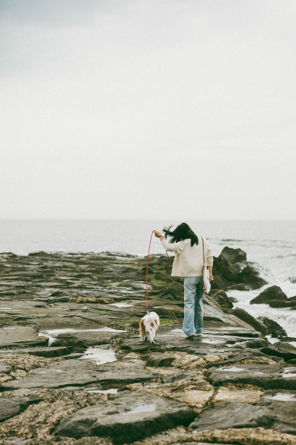 Woman walking a small dog on rocky coastal shoreline with ocean waves in background on overcast day.