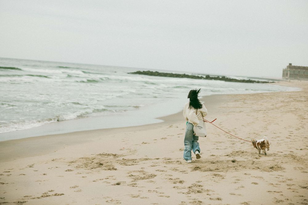 Woman walking a small dog on a sandy beach with ocean waves in the background on an overcast day.