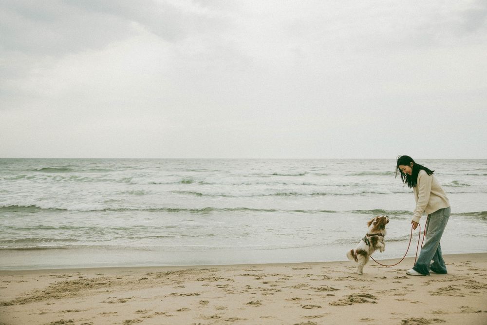 Woman walking her dog on a sandy beach with gentle ocean waves and overcast sky in the background.
