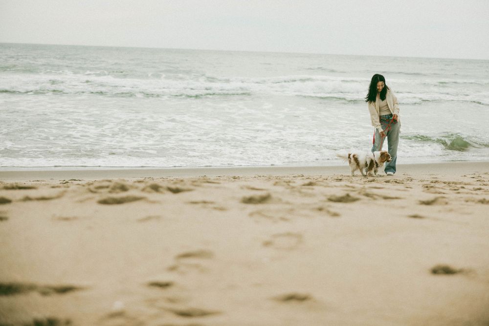 Woman walking two dogs on a sandy beach near ocean waves on an overcast day.