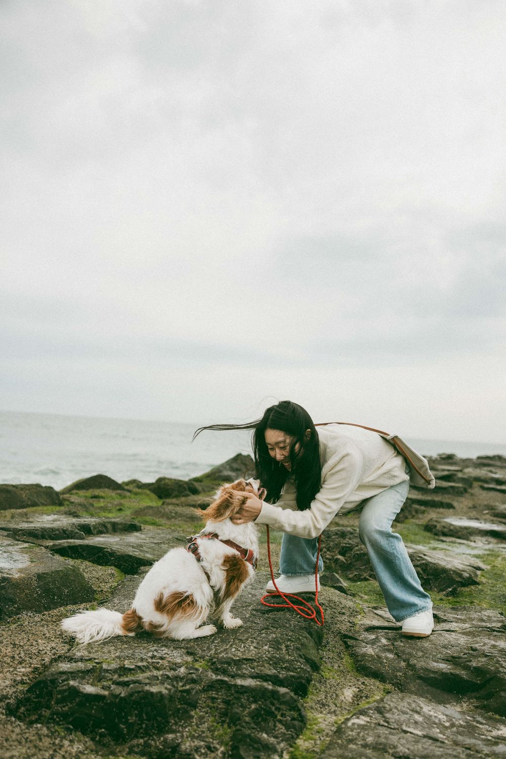 Young woman bends down to pet her Cavalier King Charles Spaniel on mossy rocks by the ocean shore.