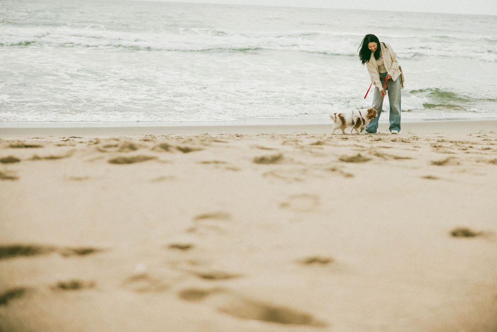 Woman walking a small dog on a leash along a sandy beach with ocean waves in the background.