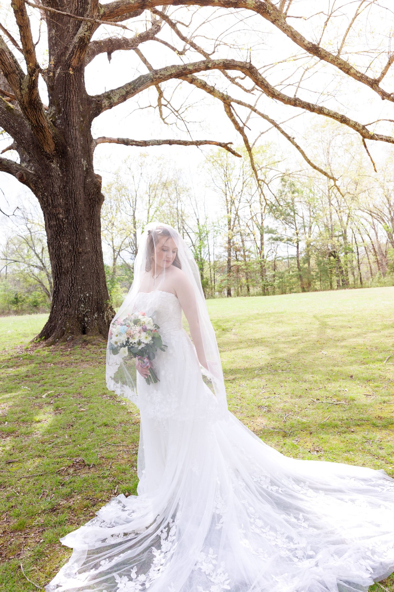 Bride in a lace wedding gown and veil holds a bouquet under a large tree in a green outdoor setting.