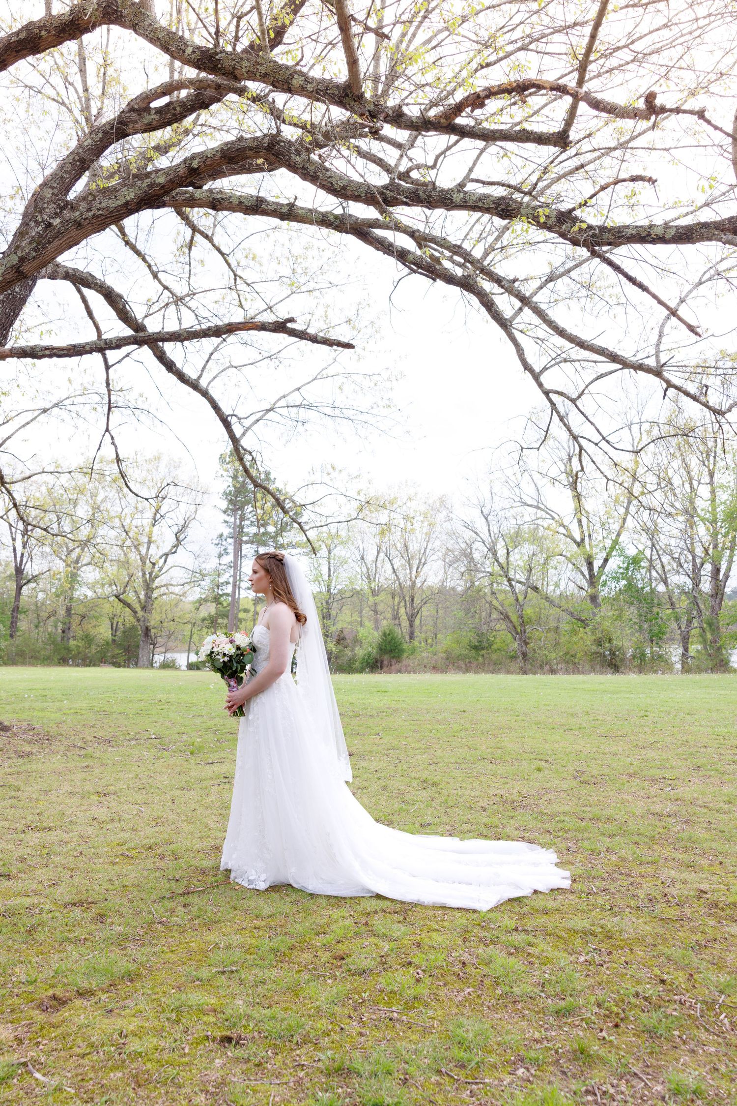 Bride in white gown and veil holding bouquet standing under large tree in green field.
