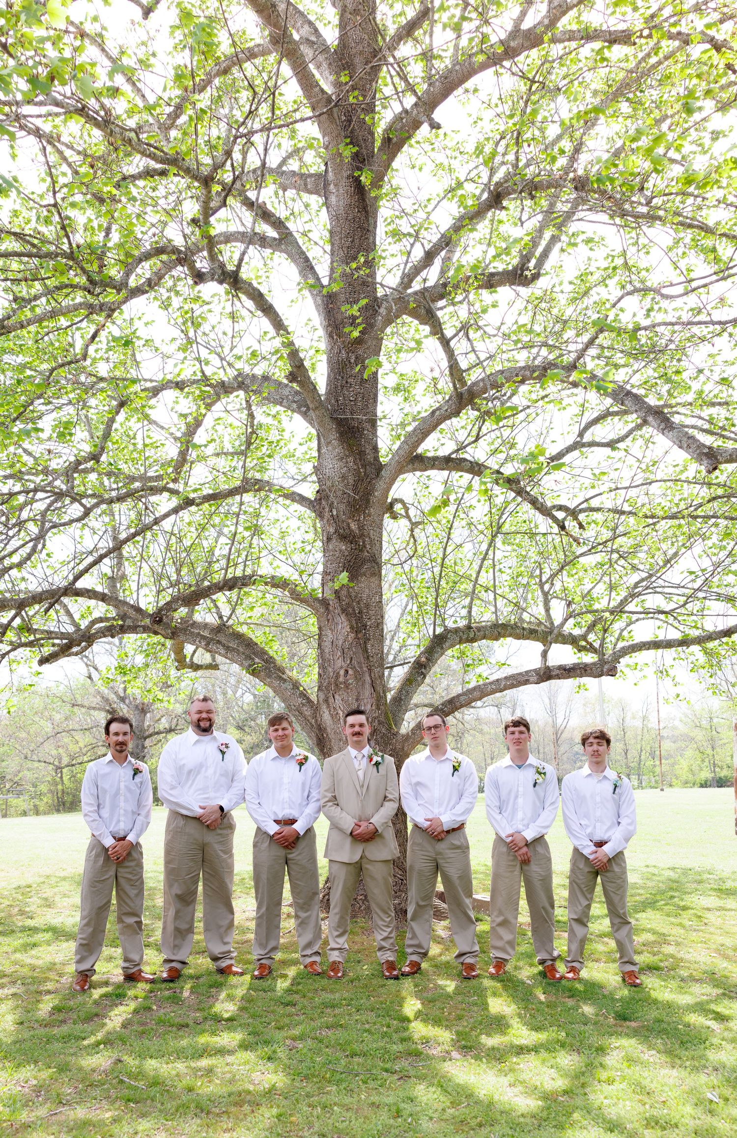 Groom and groomsmen in tan pants and white shirts posing under a large tree at outdoor spring wedding.