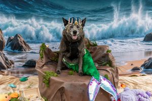 Dog wearing crown and mermaid costume against dramatic ocean backdrop with waves.