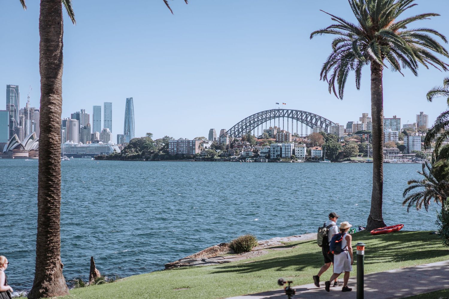 View of Sydney Harbour Bridge and skyline with palm trees framing the waterfront scene at Lavender Bay.