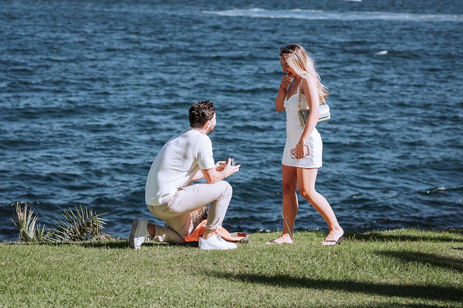 A romantic proposal scene on a grassy waterfront with the ocean in the background at golden hour.