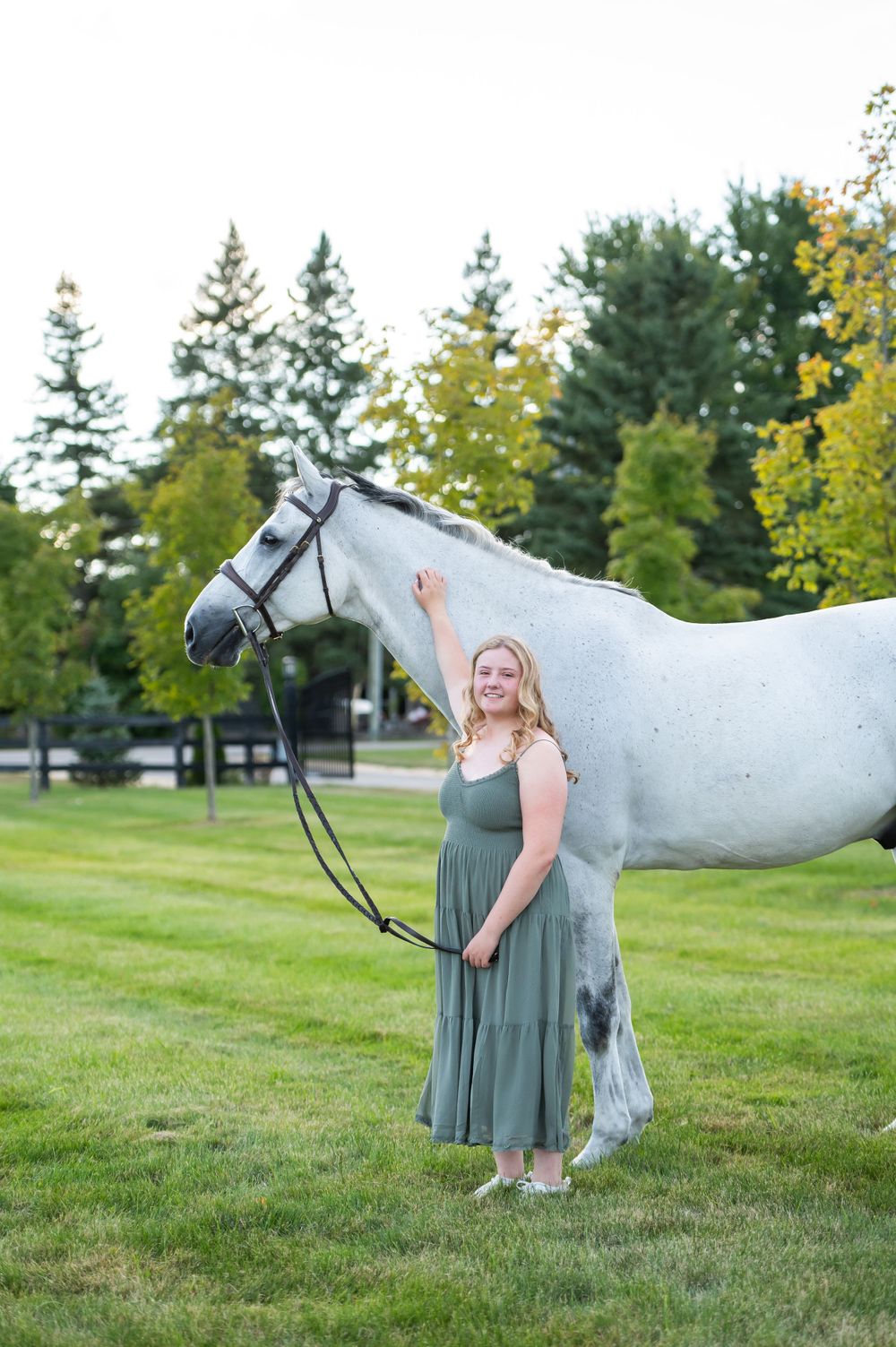 A beautiful white horse stands on a grassy lawn with evergreen trees in the background.