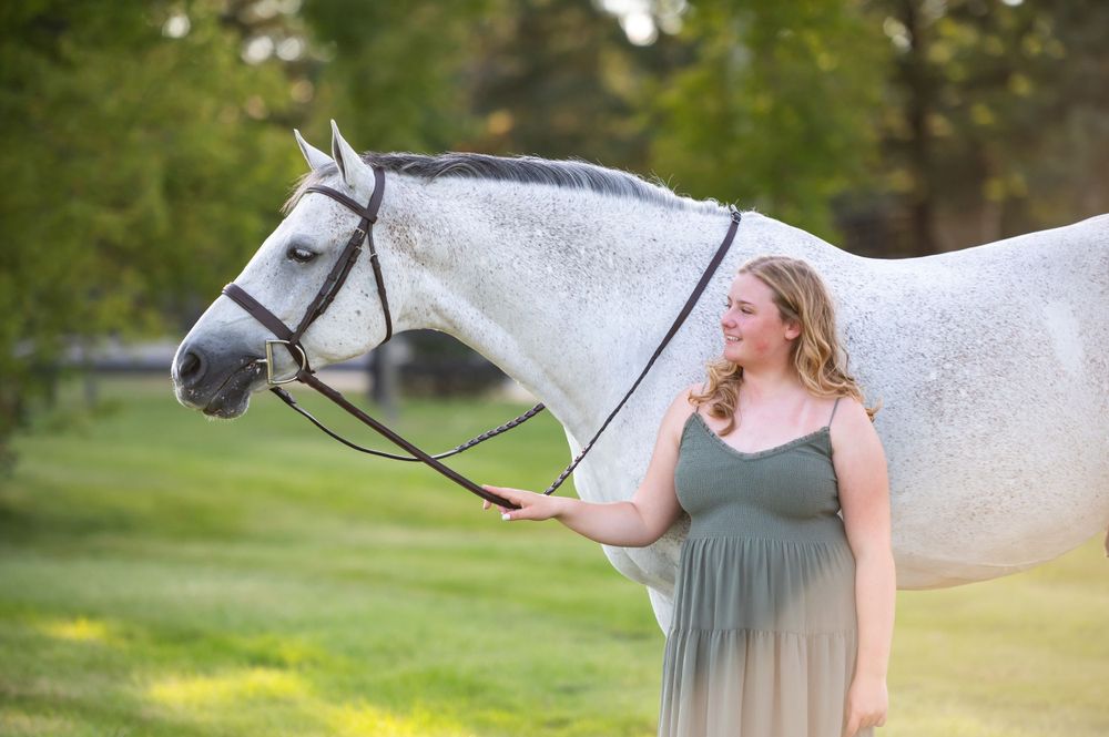 A beautiful dappled gray horse stands in a sunlit meadow wearing English riding tack.