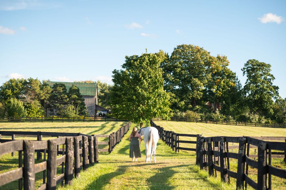 A couple in formal attire walk between two wooden fenced paths on a sunny farm with trees in the distance.