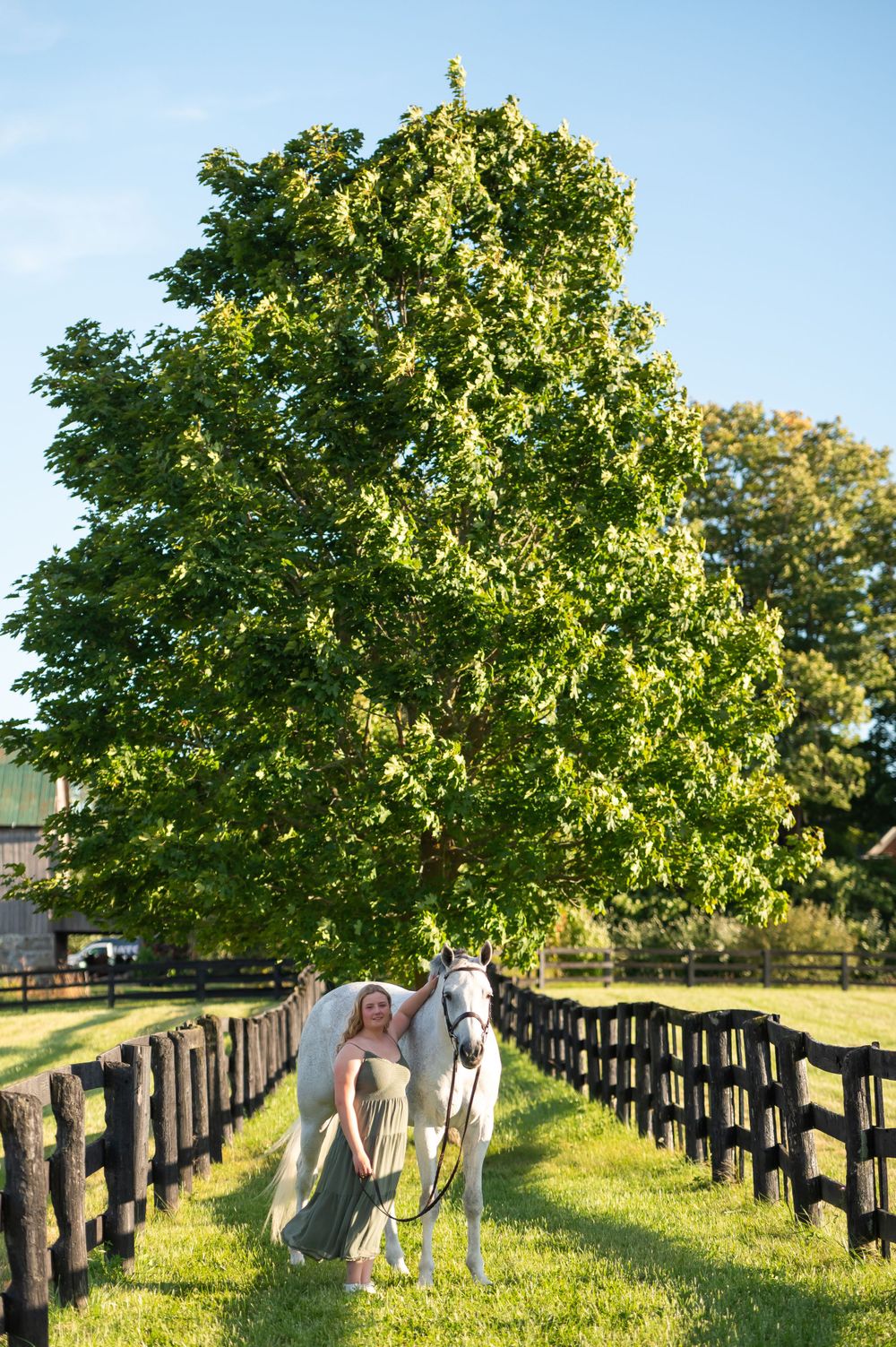 A person in a flowing dress stands with a white horse between wooden fences under a large sunlit tree in a rural setting.