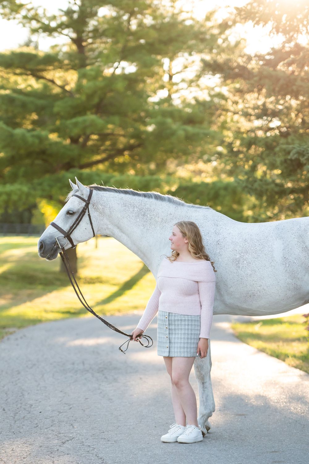 A majestic white horse poses in golden sunset light with pine trees creating a scenic backdrop.