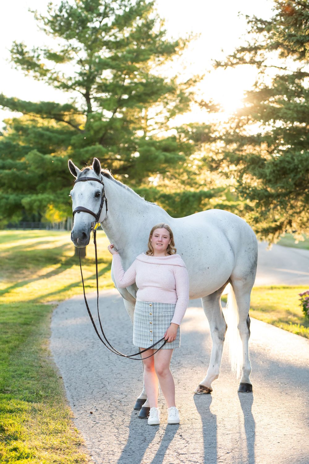 A beautiful white horse stands on a sunlit path with tall pine trees creating a golden glow in the background.