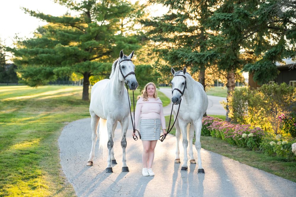 Two white horses stand with their companion on a sunlit path surrounded by green trees and grass.