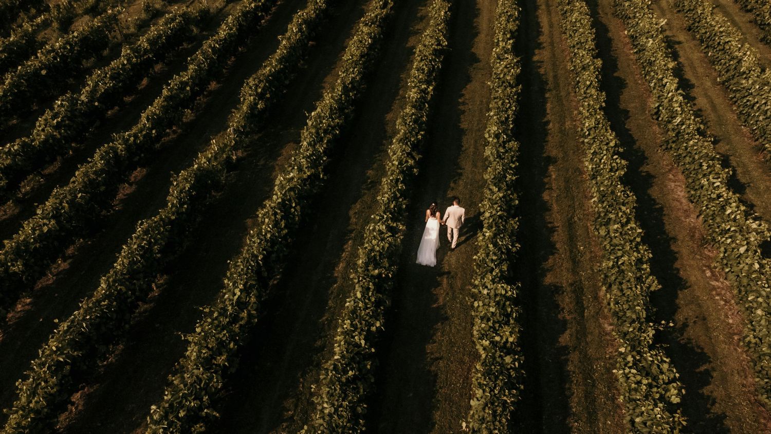 Photographe de mariage Lanaudière