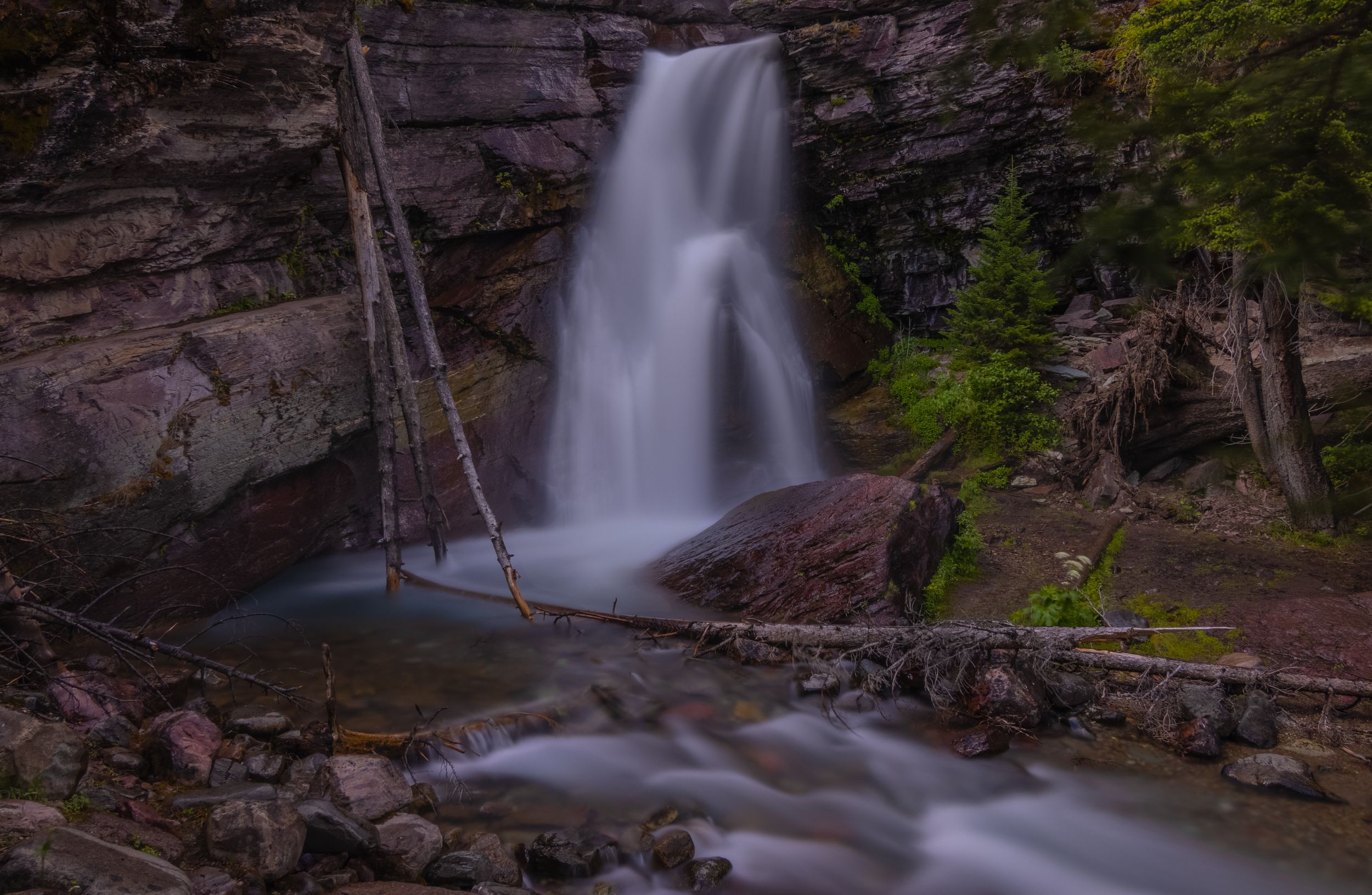 Waterfall at Glacier National Park with trees that had fallen into the water
