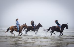 three ladies on horseback running through the surf in St. Augustine