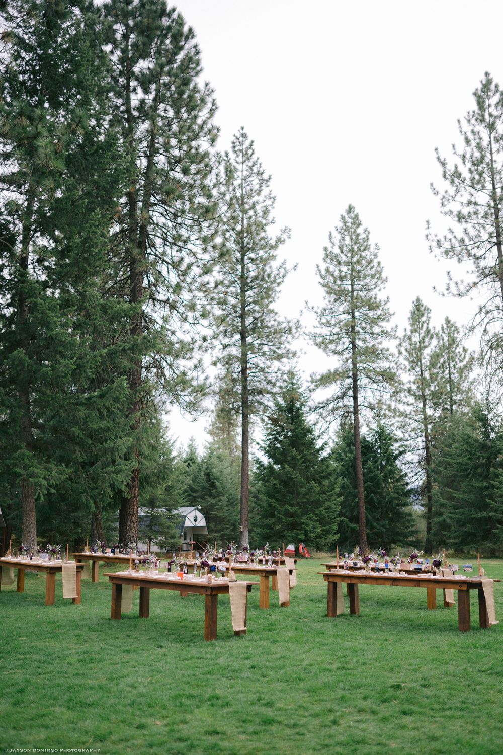 Rustic outdoor wedding reception setup with wooden benches amongst tall pine trees.