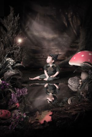 Magical forest scene with red toadstool mushrooms and reflective water surface.