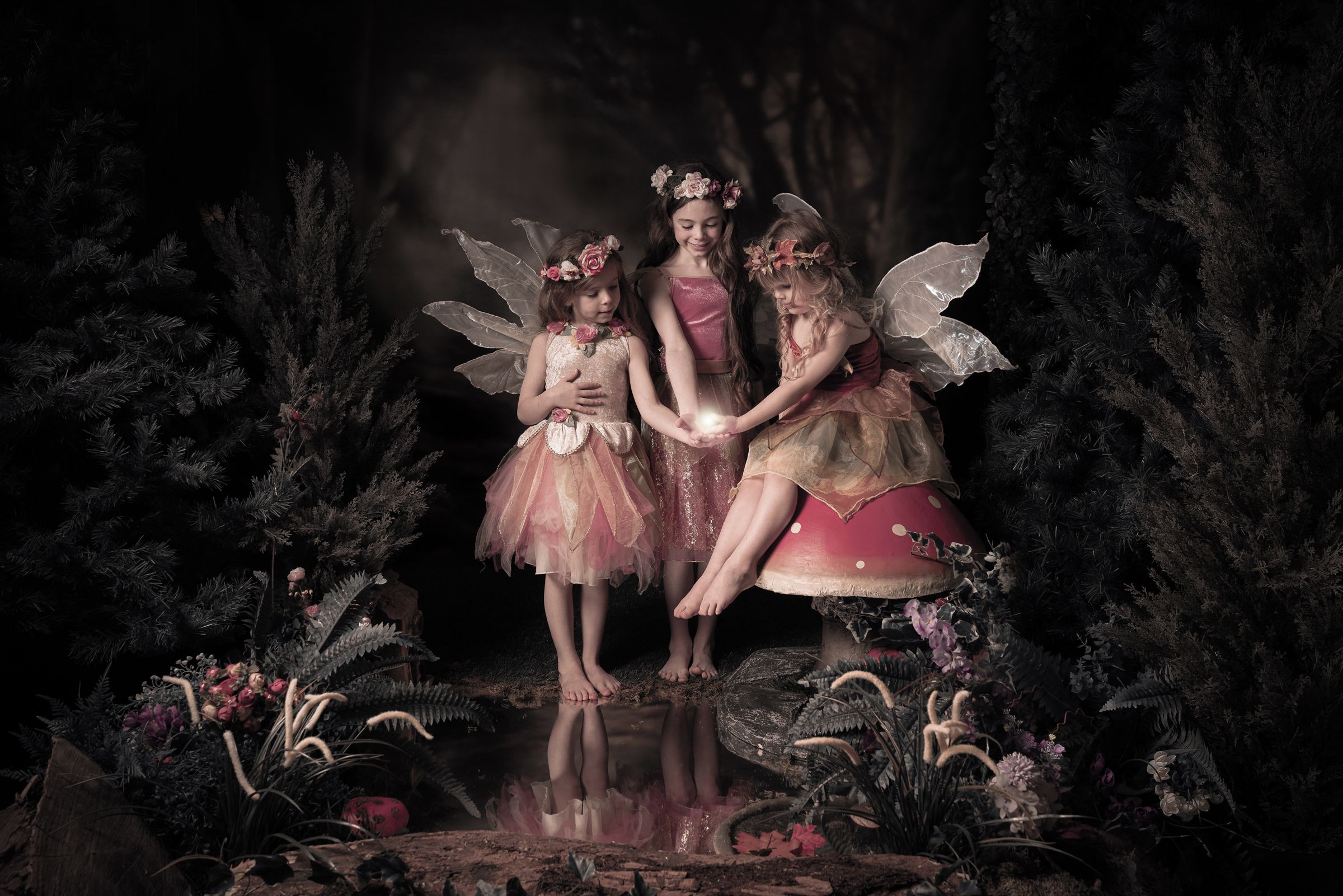 Three fairies in pink dresses gather near a reflecting pool in a magical forest with a red spotted mushroom.