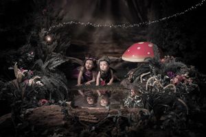 Two fairies explore a mystical woodland scene with glowing lights and a large red spotted mushroom.