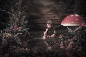 Enchanted forest scene with toadstool mushrooms and magical lighting effects.