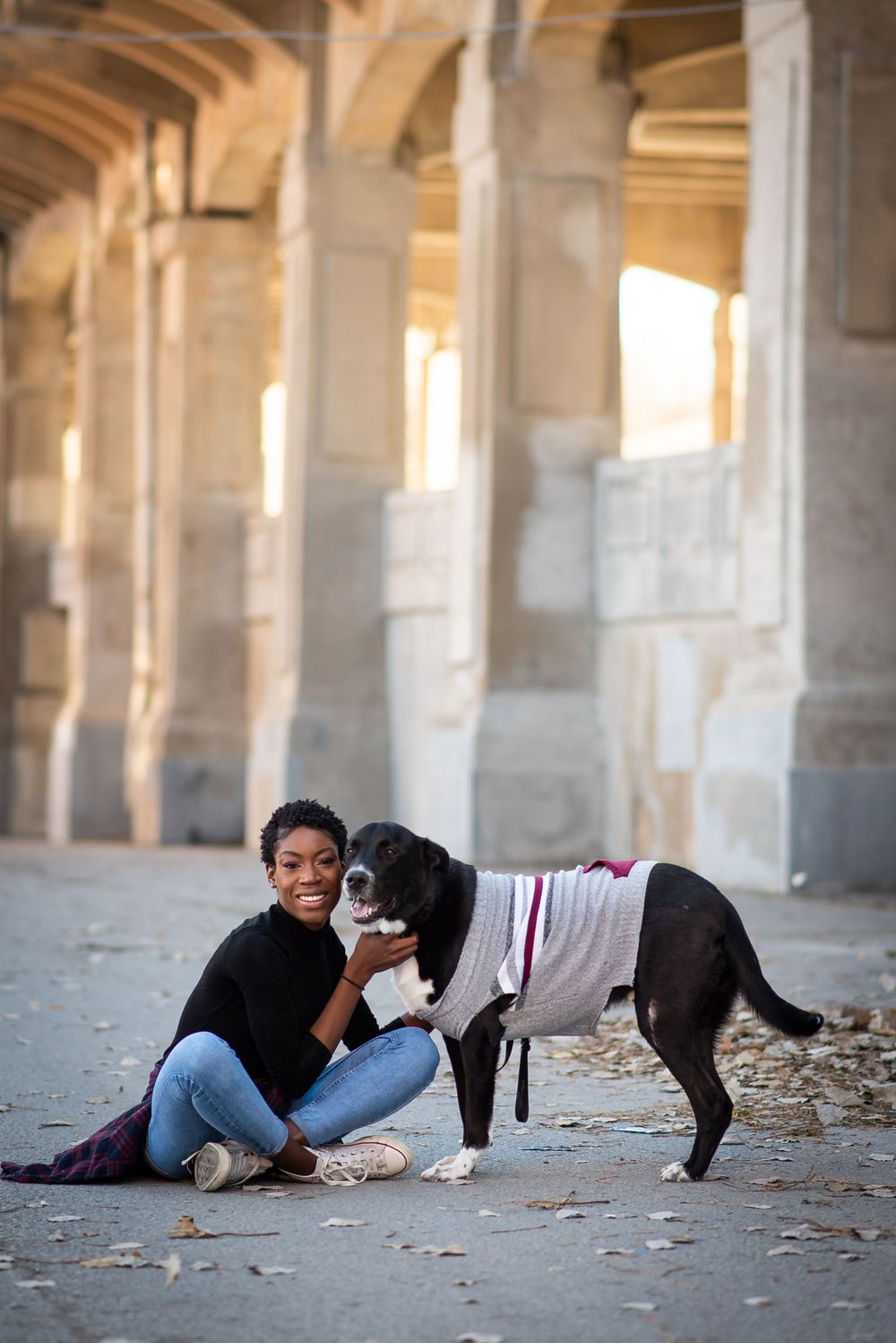A black and white dog wearing a striped shirt plays with someone under arched stone columns with warm lighting in west bottoms kansas city.
