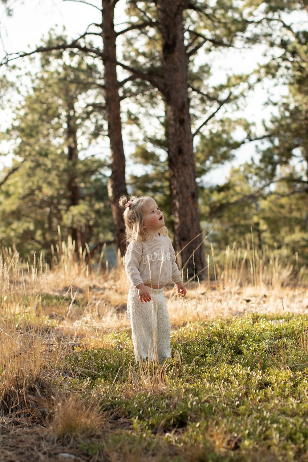Someone in a cozy knit sweater stands thoughtfully in a sunlit forest clearing with tall pine trees in the background.