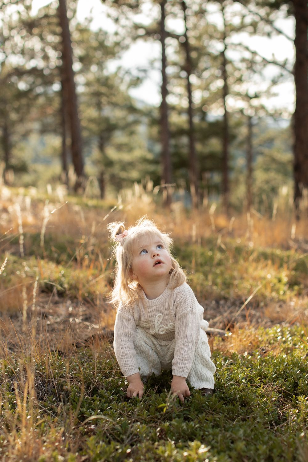 A small child in a white dress explores a sunlit forest clearing with tall pine trees in the golden hour light.