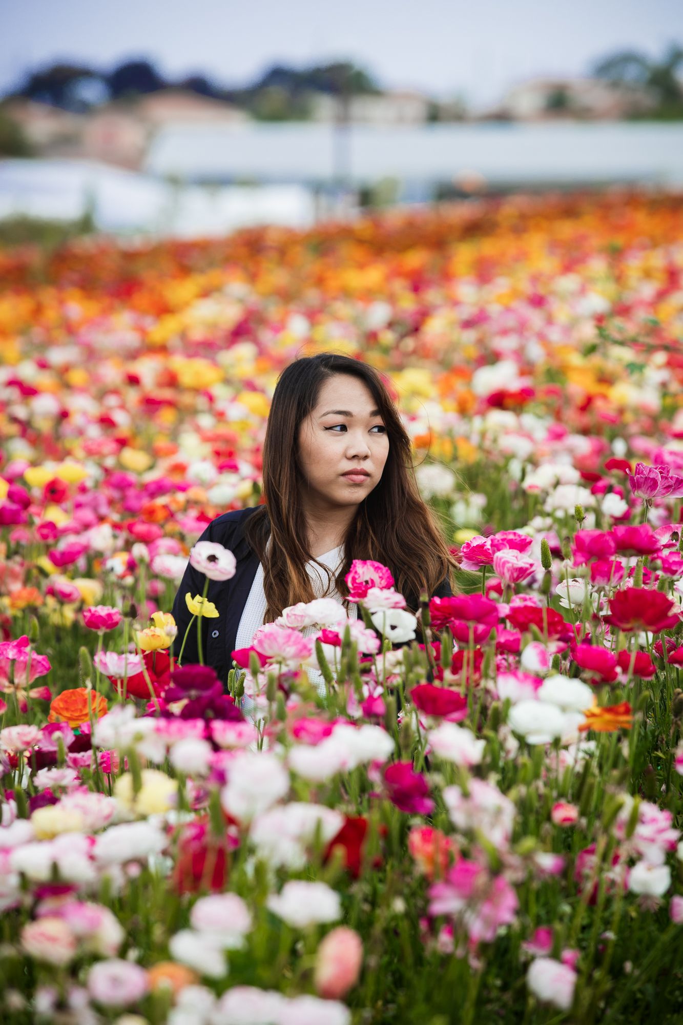 A woman sits among a colorful field of blooming ranunculus flowers in pink, orange, yellow and white hues.
