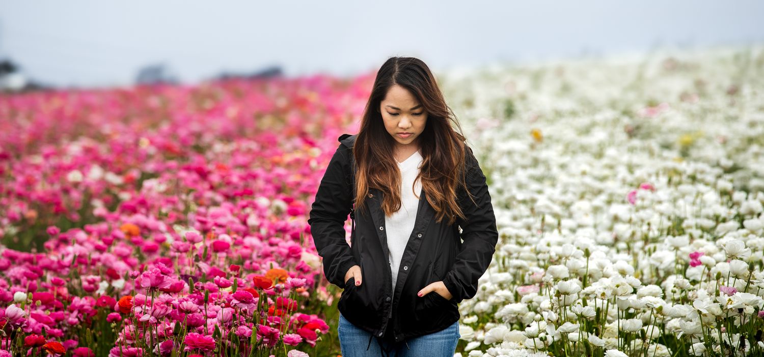 A person in a black jacket stands between vibrant pink and white flower fields in a garden.
