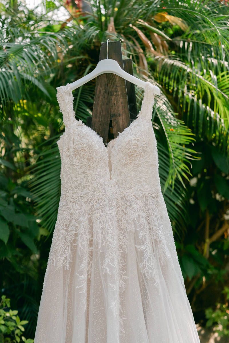 White lace wedding dress hanging on display against lush tropical palm foliage in natural outdoor setting.