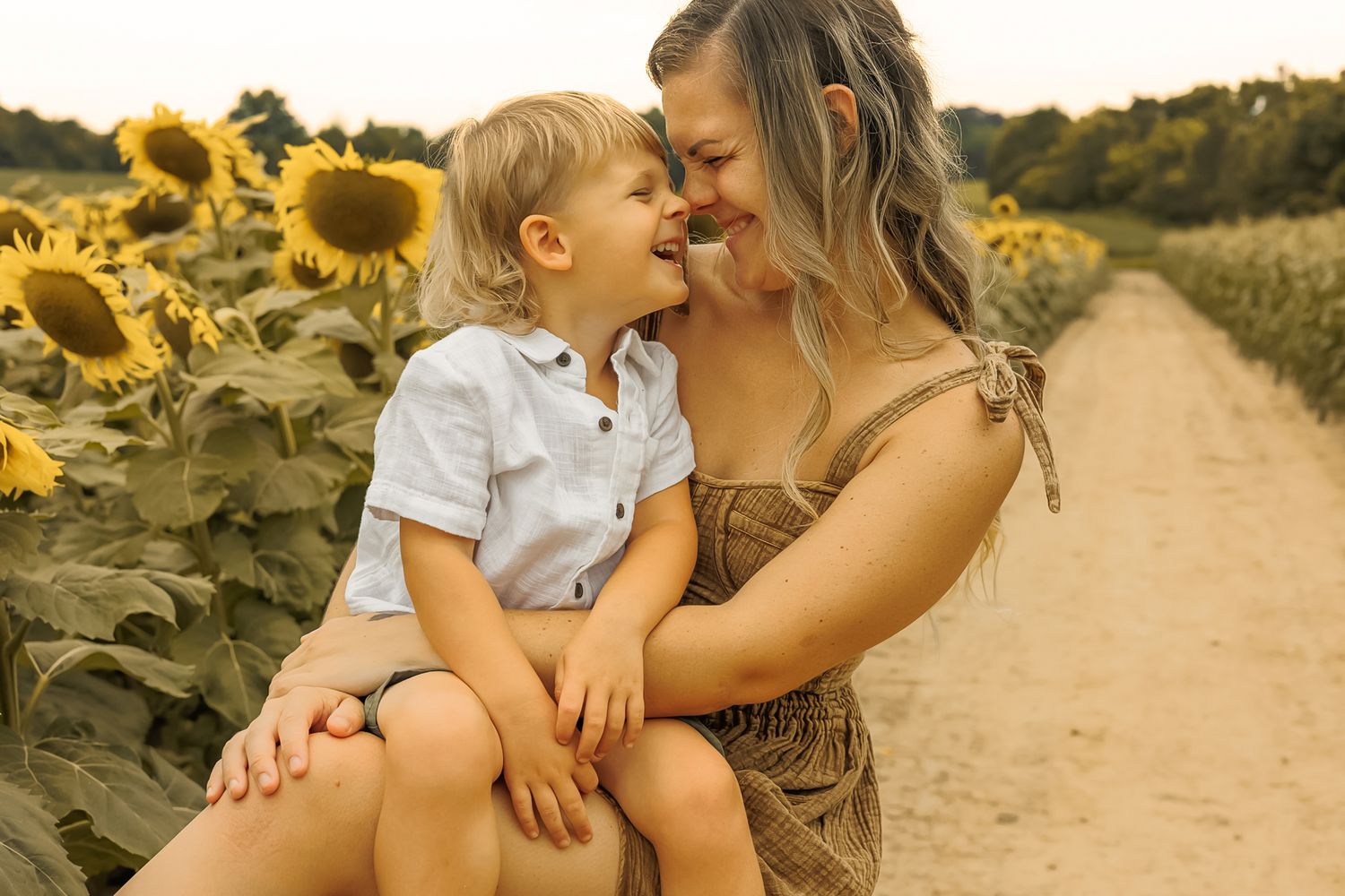 A series of tender moments captured at sunset in a golden field with sunflowers creating a warm, intimate atmosphere.