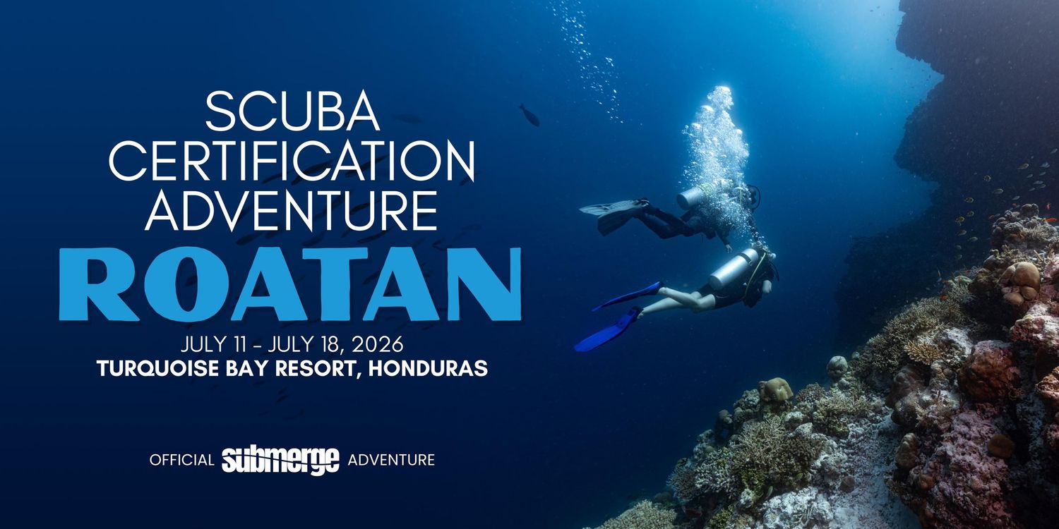 Promotional banner for a Roatan dance workshop featuring blue ocean background and golden text overlay.