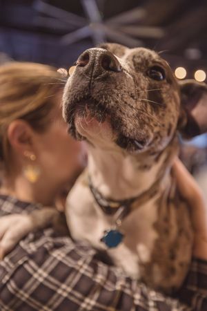 Pittie with his mom