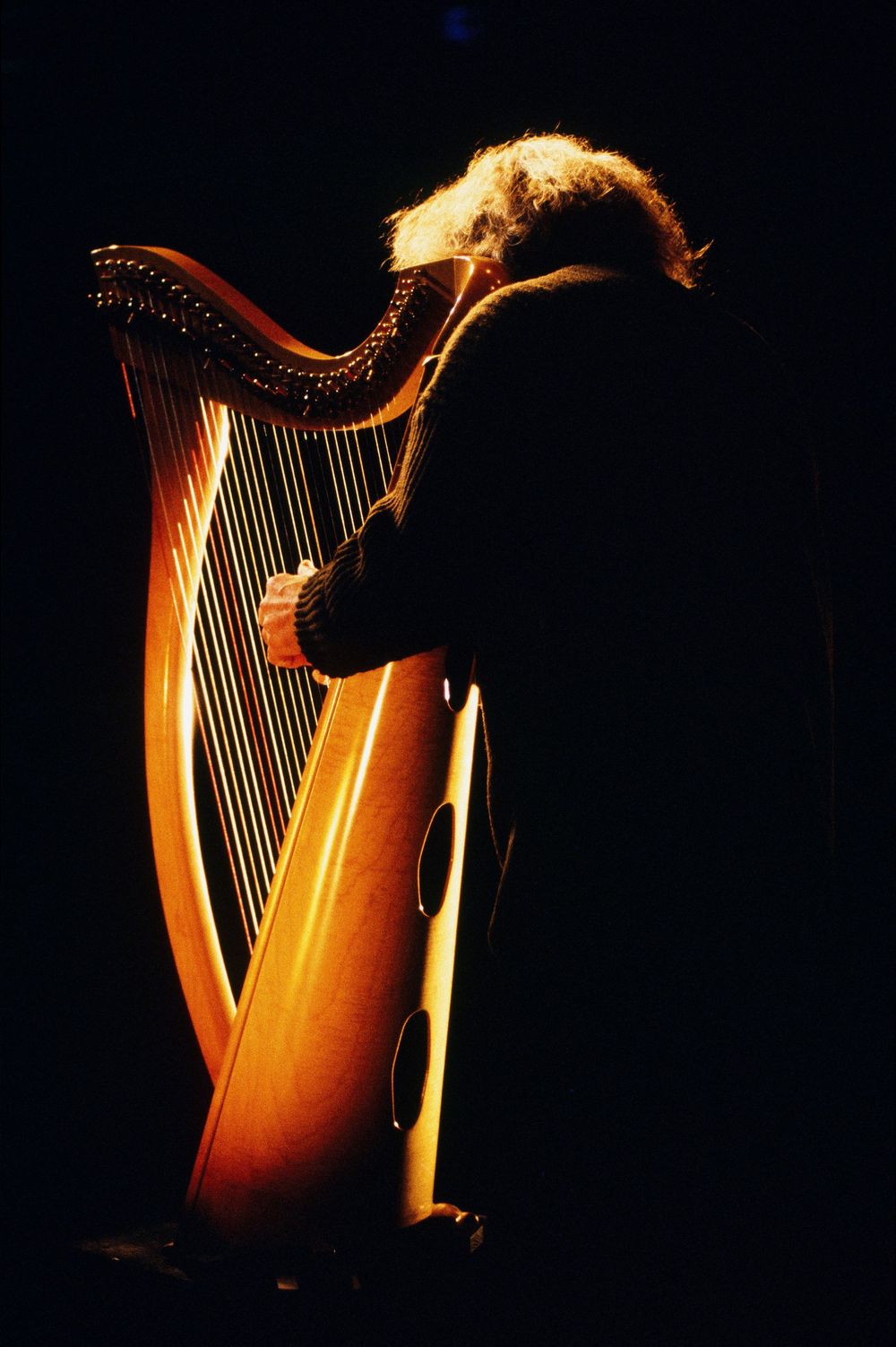 HARPE CELTIQUE KIRJUHEL MUSIQUE MUSICIEN BRETAGNE BRITTANY BREIZH © Didier Houeix