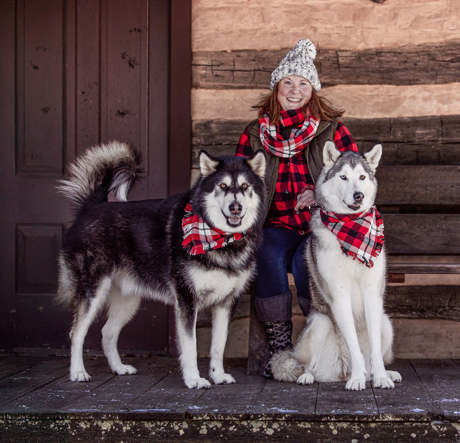 Smiling girl in plaid jacket posing with an Alaskan Malamute and Alaskan Malamute/Siberian Husky wearing red bandanas on steps.