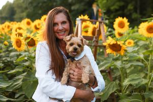 A small brown dog sits among vibrant yellow sunflowers in a sunny garden field.