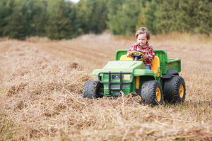A green toy John Deere tractor sits in a golden wheat field on a sunny day.
