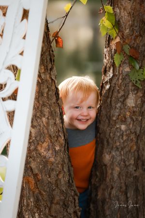 A playful peek through tree trunks with white fence posts and autumn leaves in the background.