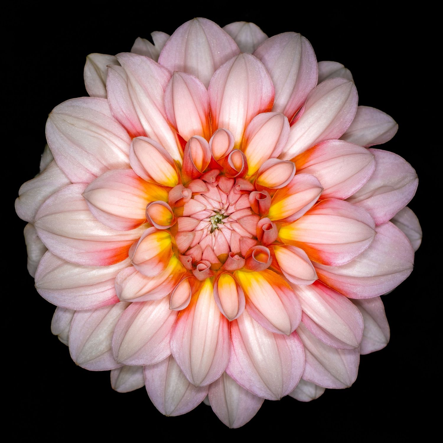 John Peters Photography