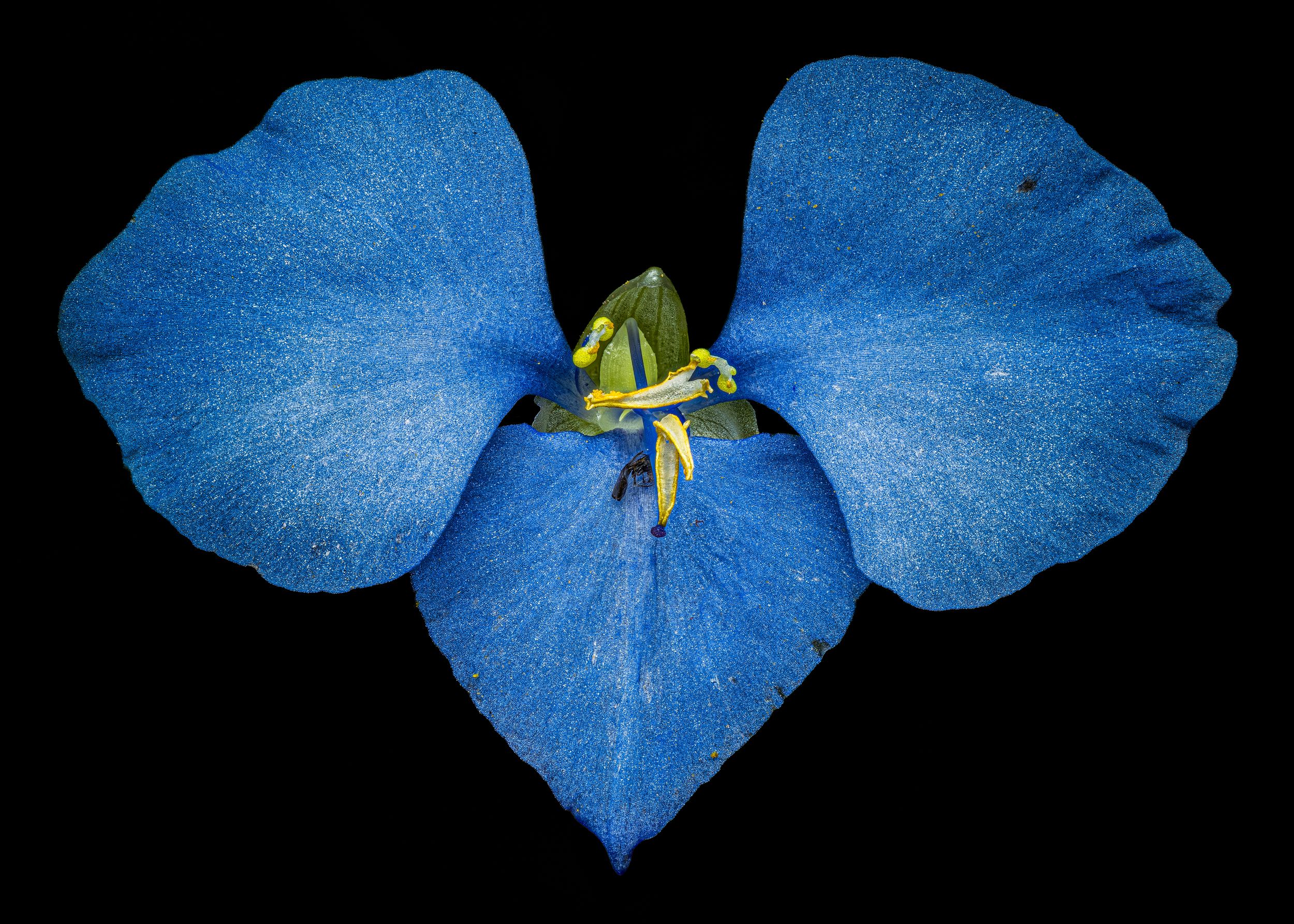 John Peters Photography