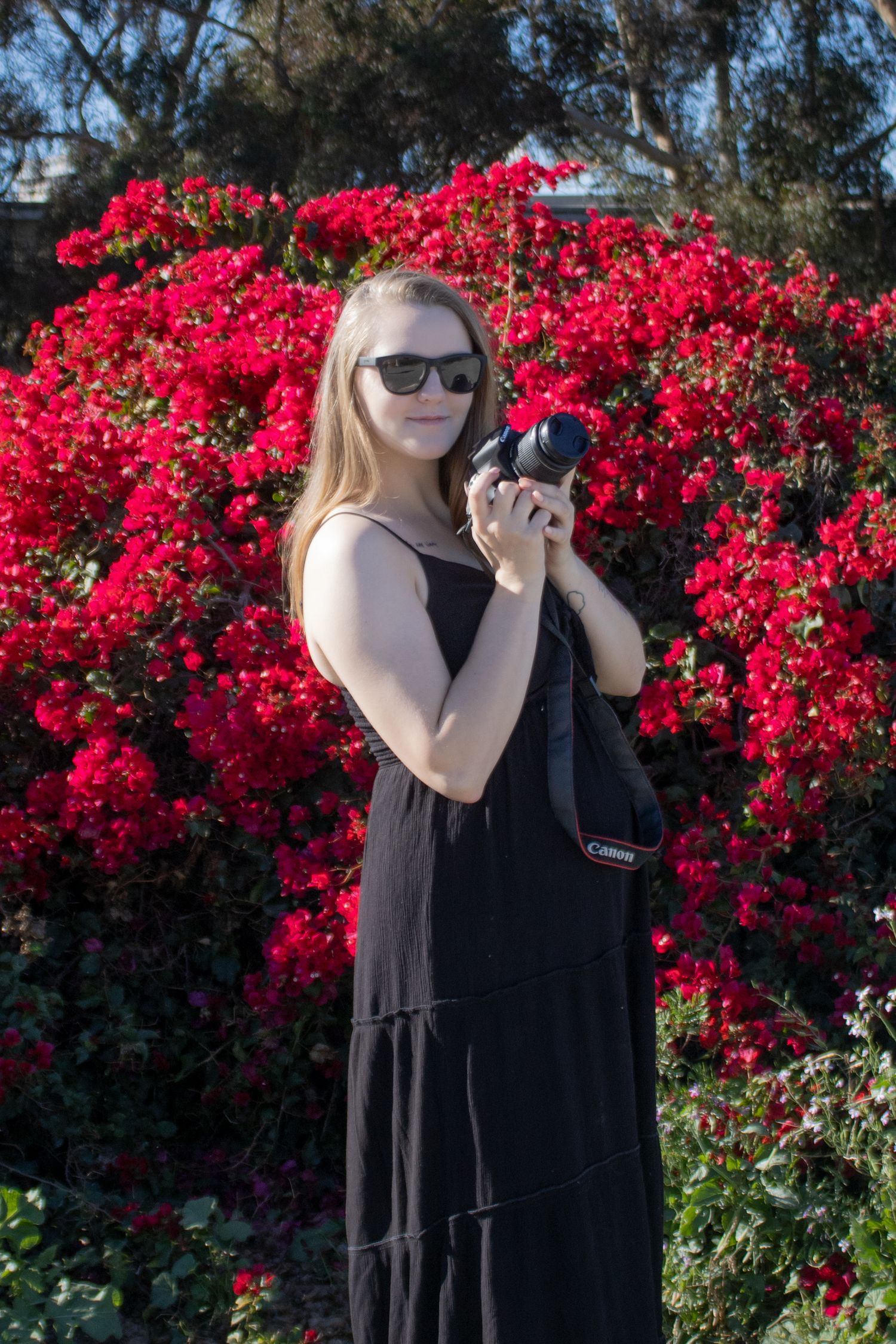 Photographer taking pictures near blooming red bougainvillea bushes.