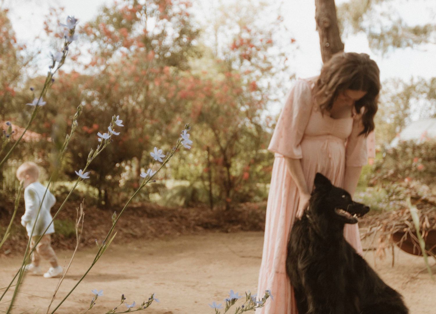 Family maternity session in nature with child and pet dog.