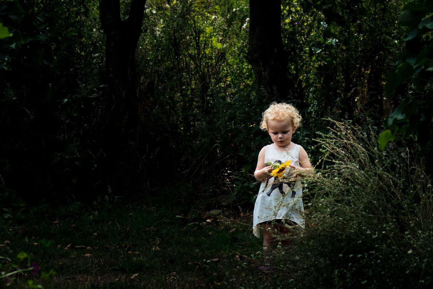 Small child in light clothing explores wooded area holding yellow flowers.