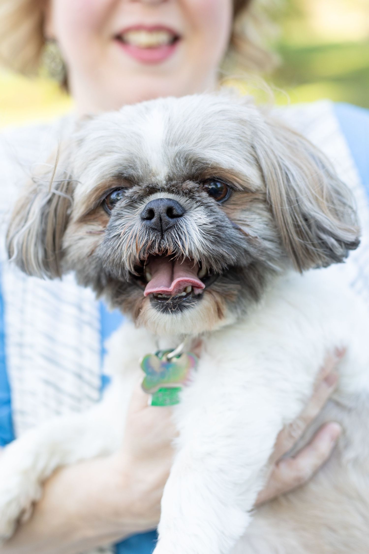 Tower Grove Park St Louis, MO Family photography pet