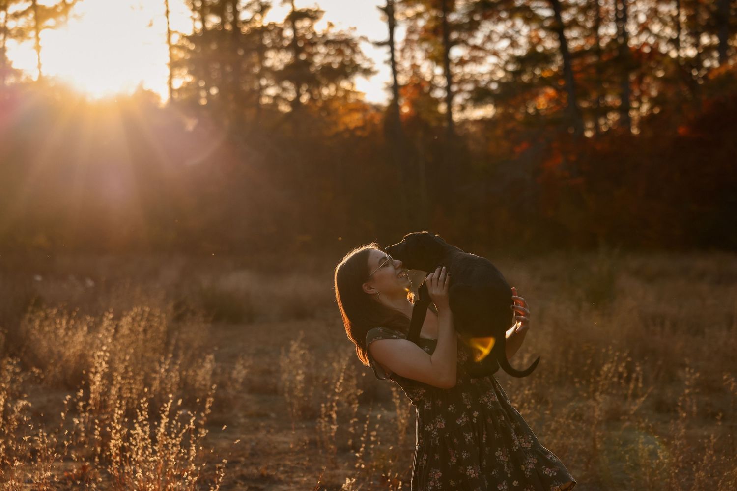 Couple sharing a romantic kiss in a sunlit autumn meadow with golden trees in background.