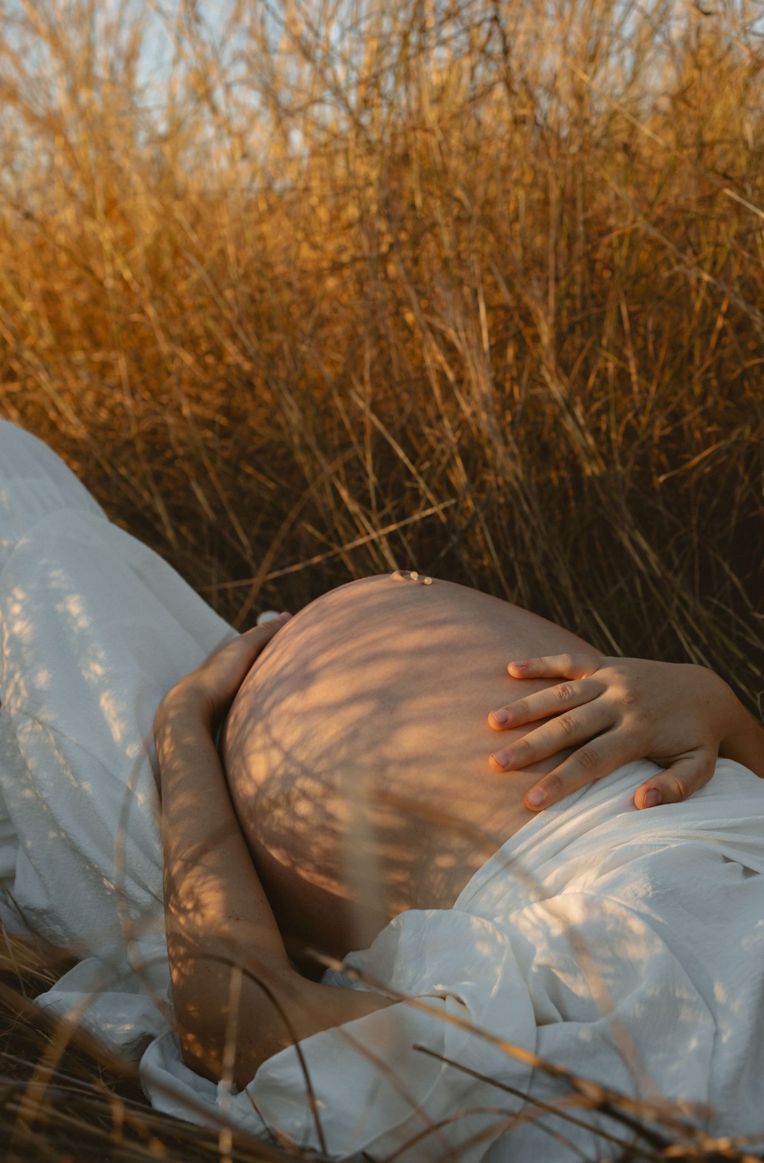 A close up view of a pregnant belly in soft sunlight against dried golden grass in the background.