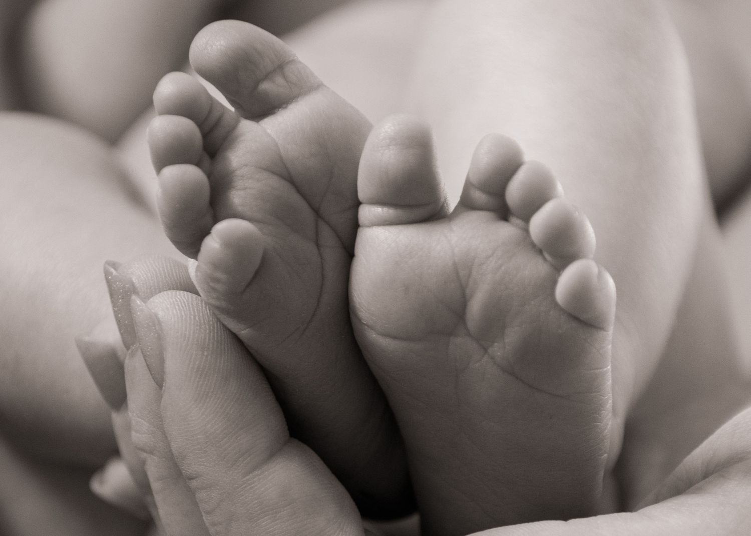Close-up black and white photograph of tiny baby feet showing delicate details in Utah.